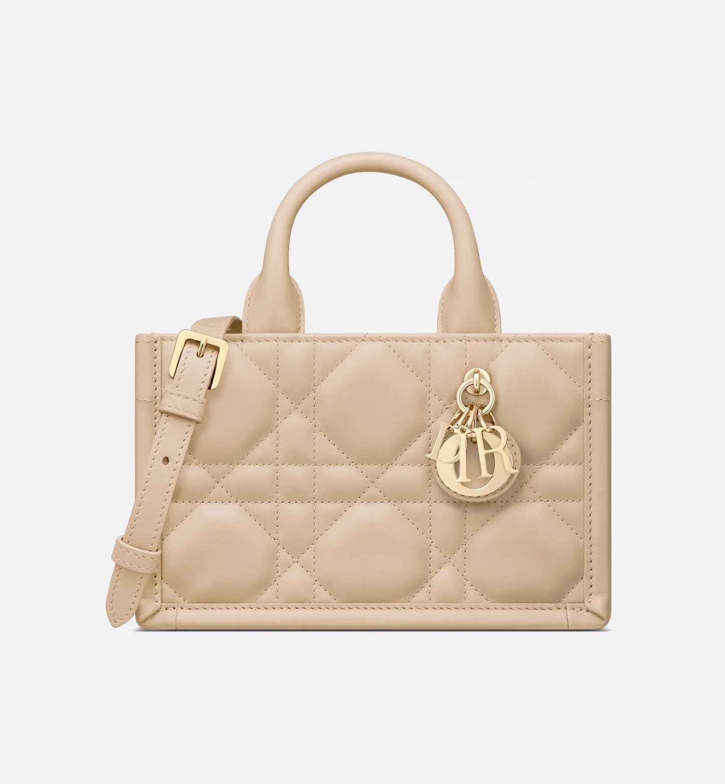 Mini Dior Book Tote