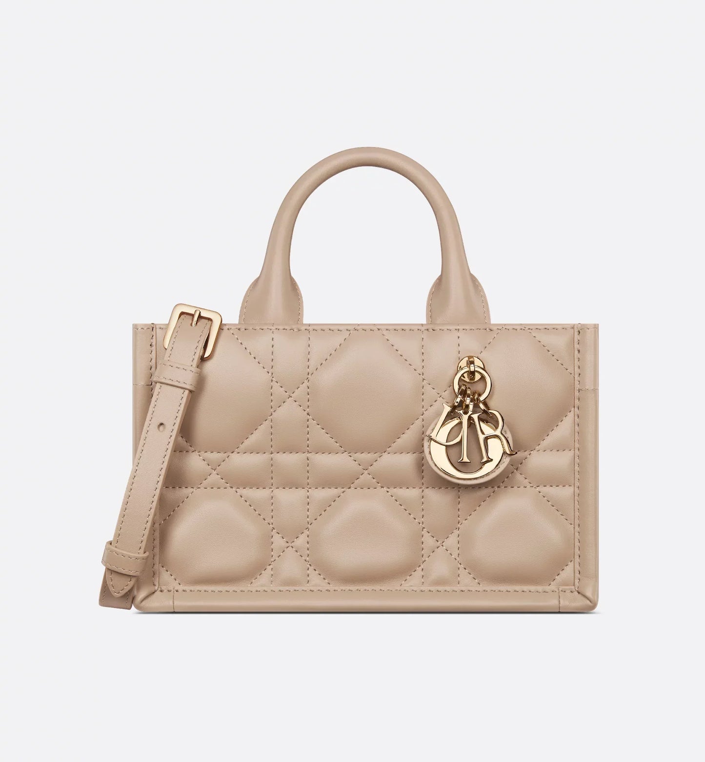 Mini Dior Book Tote