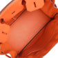 Birkin 30 Terre Battue Togo Gold Hardware