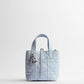 Small Dior Toujours Vertical Tote Bag 2026
