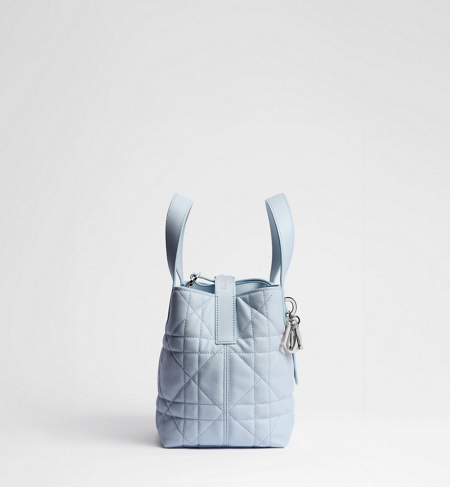 Small Dior Toujours Vertical Tote Bag 2026