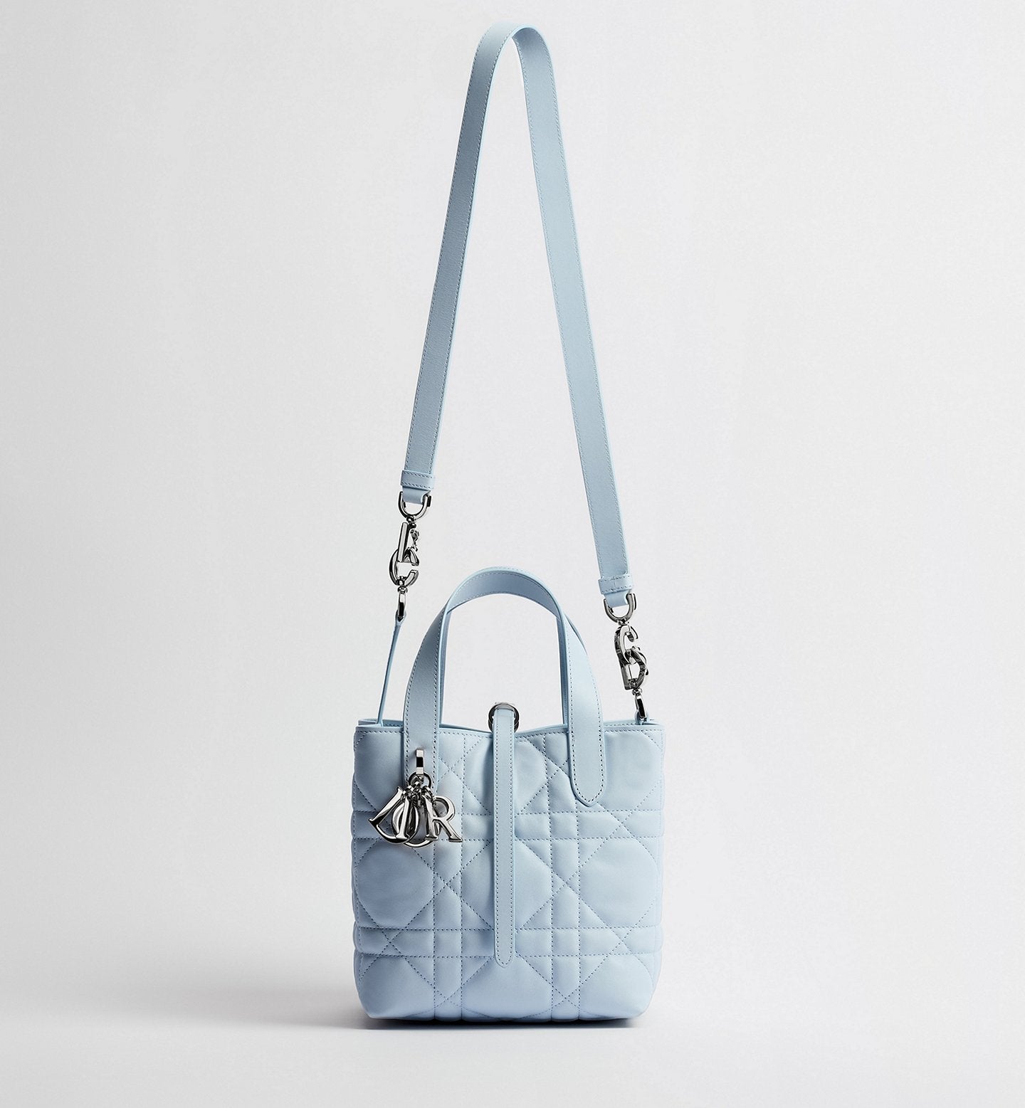 Small Dior Toujours Vertical Tote Bag 2026
