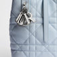 Small Dior Toujours Vertical Tote Bag 2026