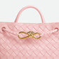Bottega Veneta Small Andiamo