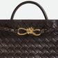 Bottega Veneta Medium Andiamo