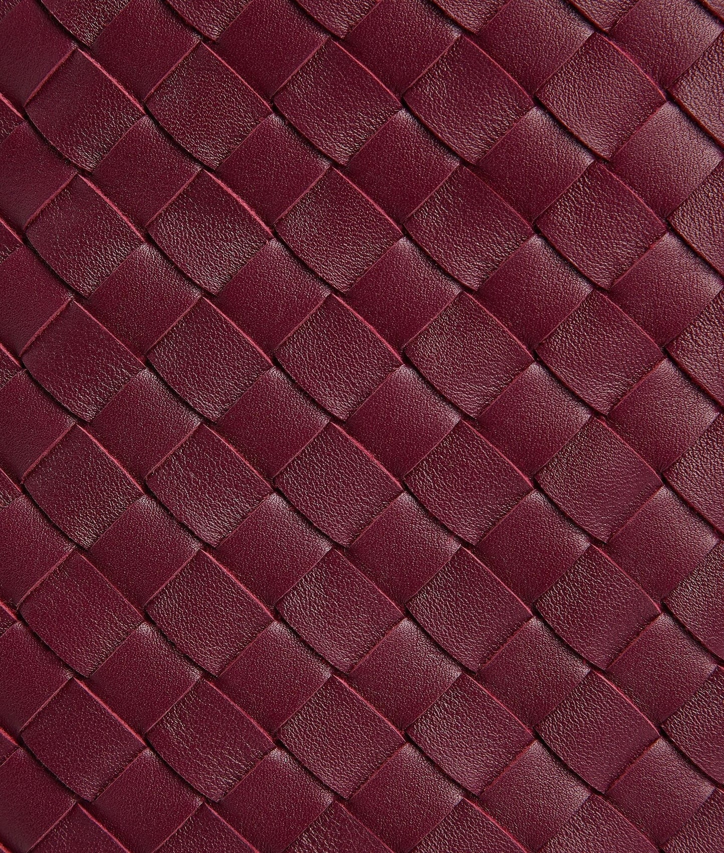 Bottega Veneta Pinacoteca