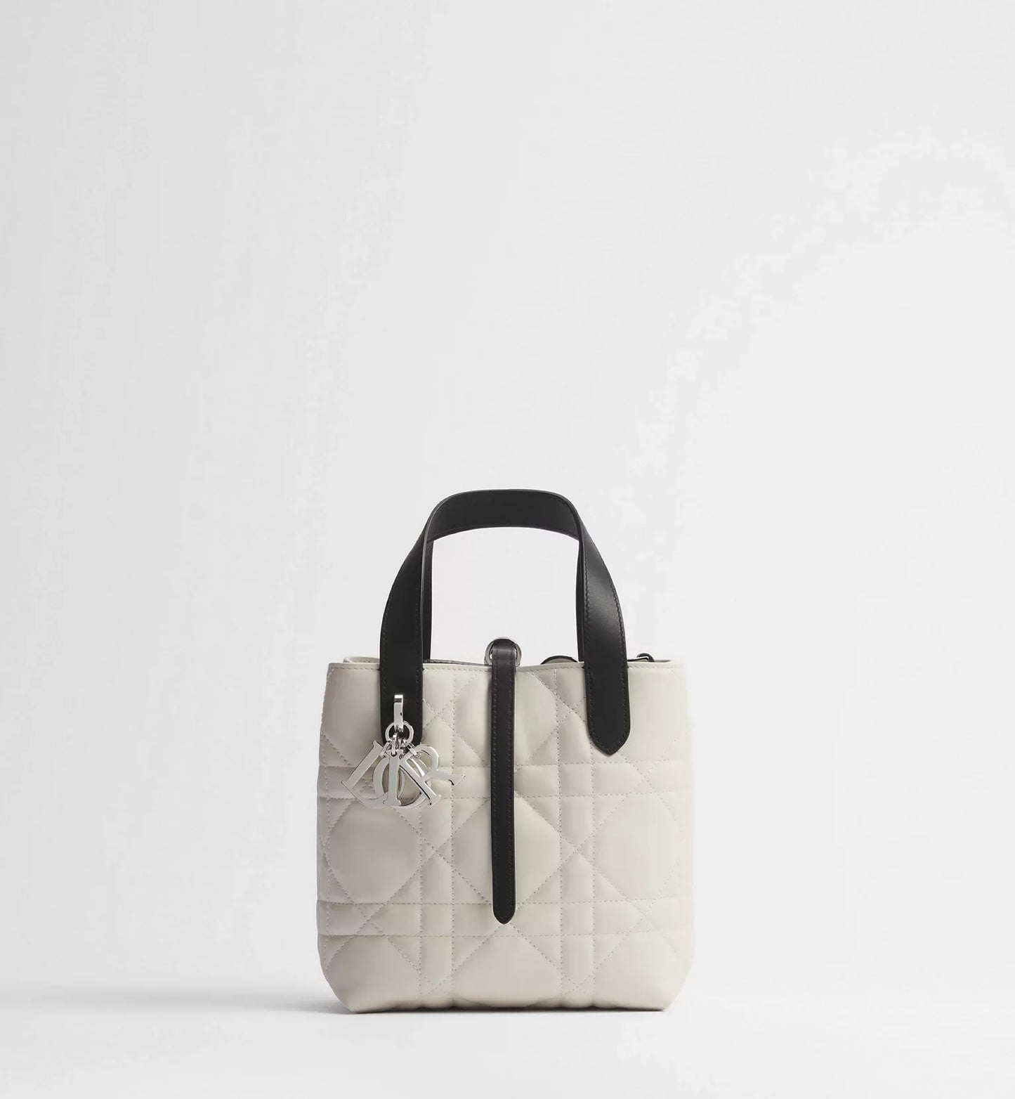 Small Dior Toujours Vertical Tote Bag 2026