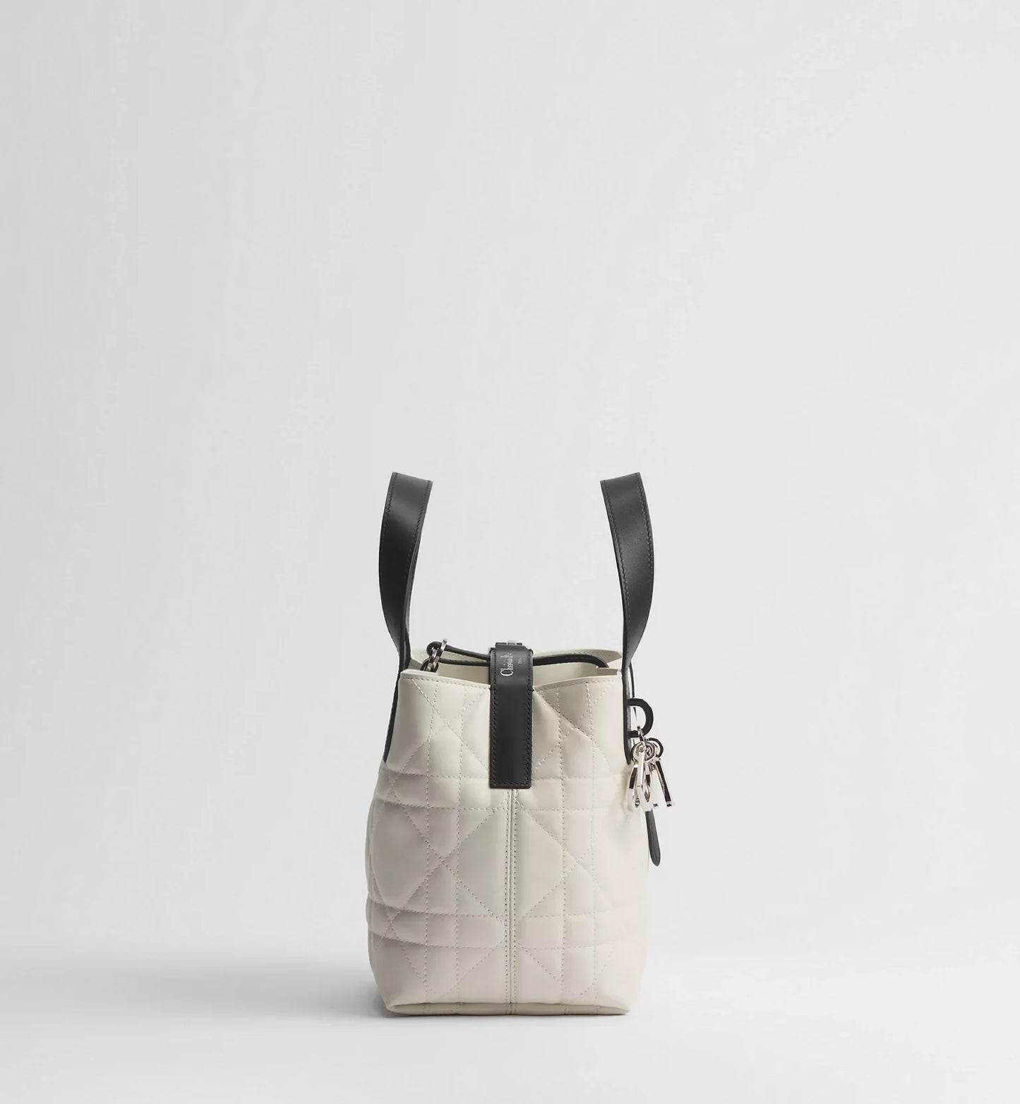 Small Dior Toujours Vertical Tote Bag 2026