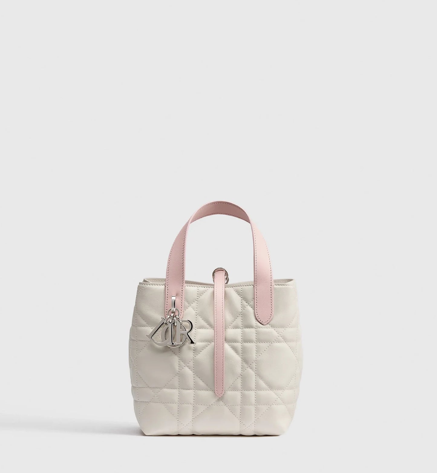 Small Dior Toujours Vertical Tote Bag 2026