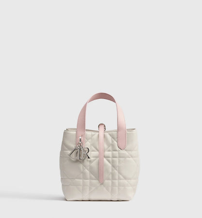 Small Dior Toujours Vertical Tote Bag 2026