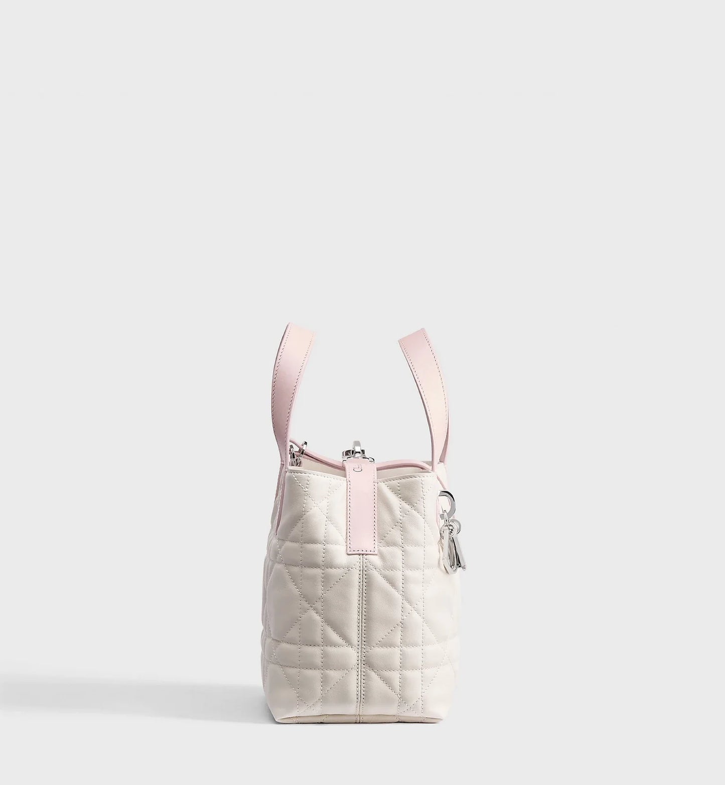Small Dior Toujours Vertical Tote Bag 2026